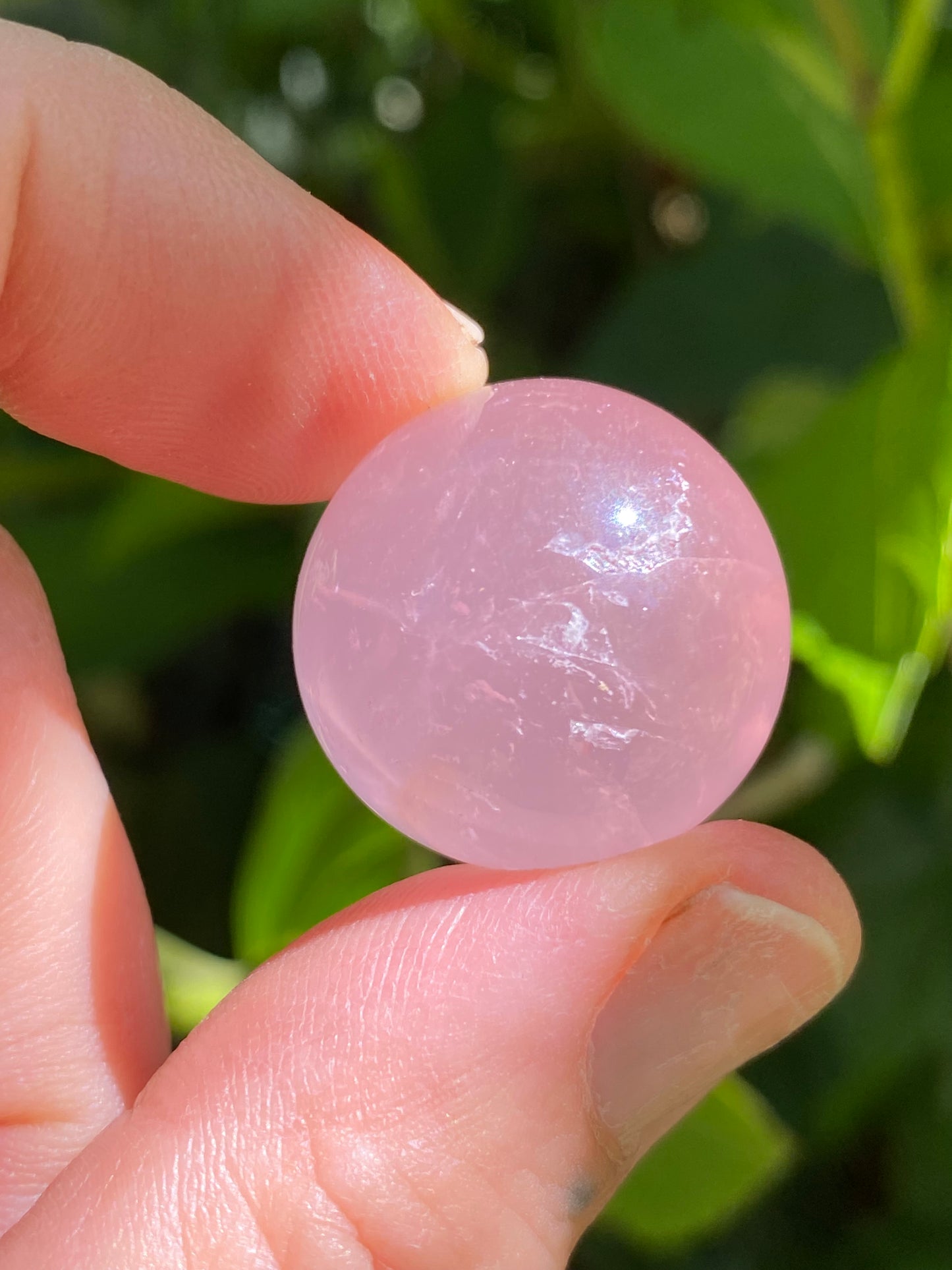 Gorgeous Star Rose Quartz mini sphere