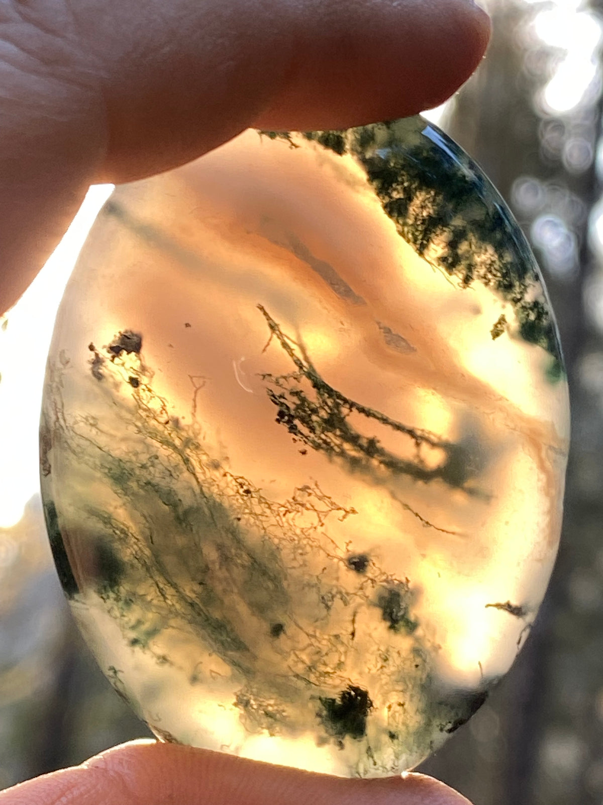 Moss Agate Palm Stone