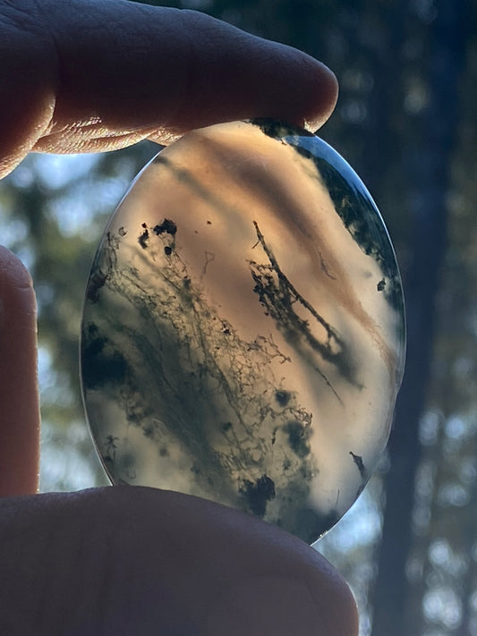 Moss Agate Palm Stone