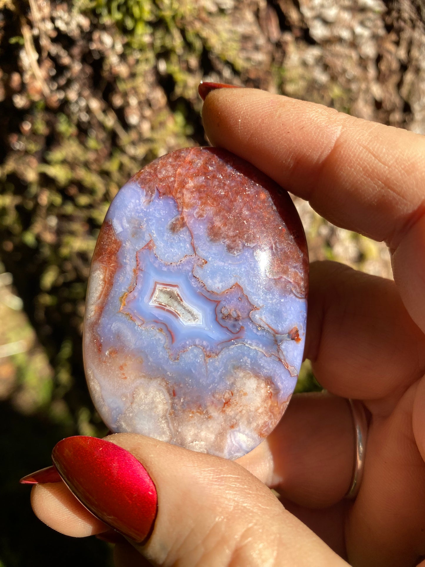 Beaitiful Blue Flower Agate Palm Stone